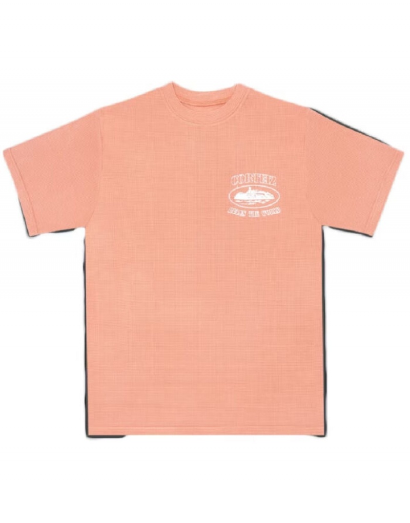 Magliette Uomo Corteiz Insignia Short Sleeve Waffle Bianche Italia | M7H-8138